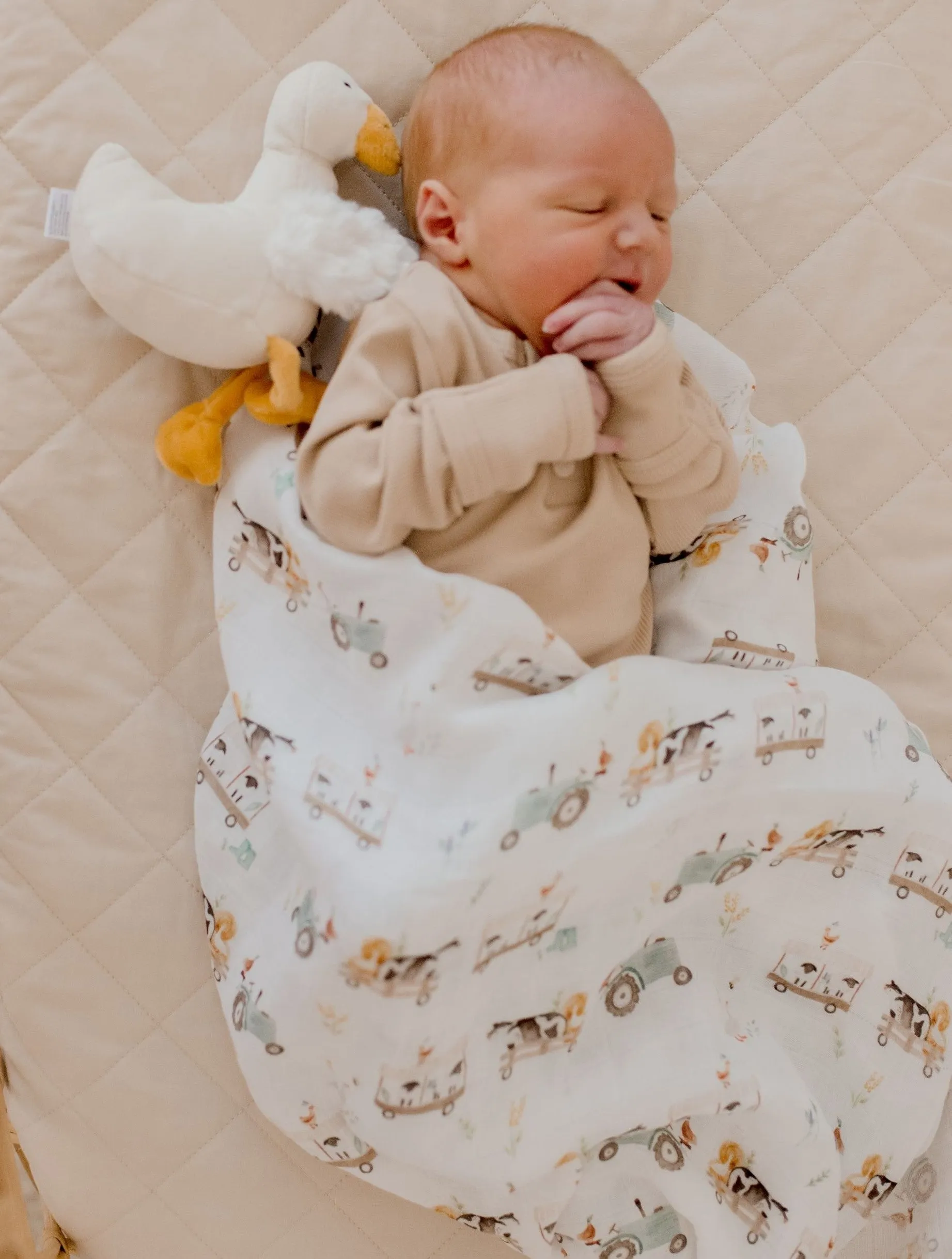 Bambella Designs Bamboo Cotton Muslin Swaddle Wrap - Oakwood Farm