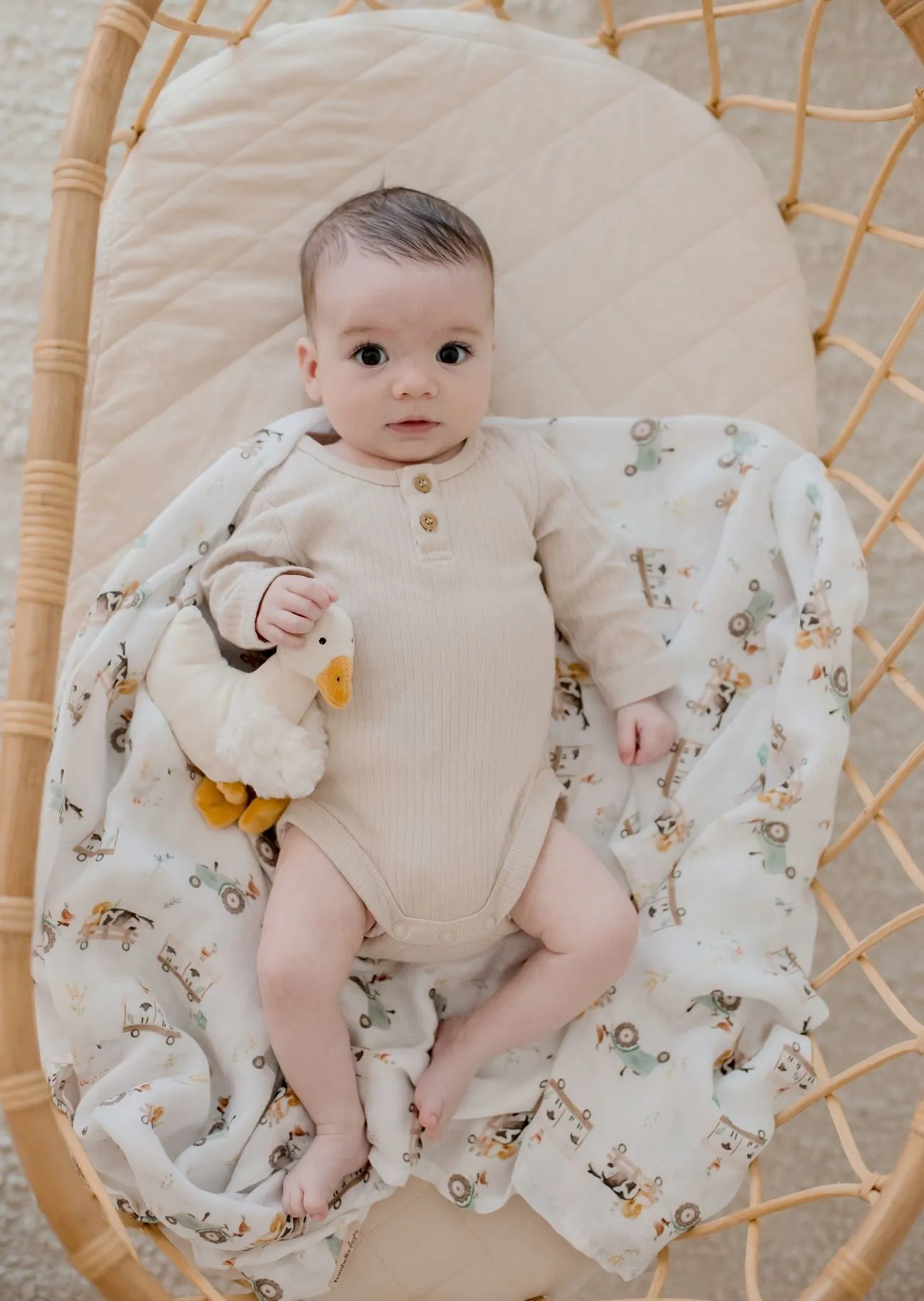 Bambella Designs Bamboo Cotton Muslin Swaddle Wrap - Oakwood Farm