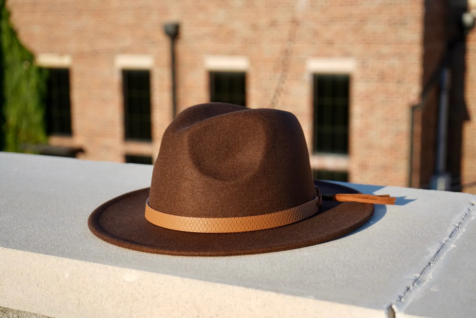 Rivet Fedora - Brown